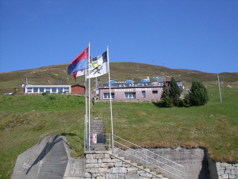 Schweiz 2463